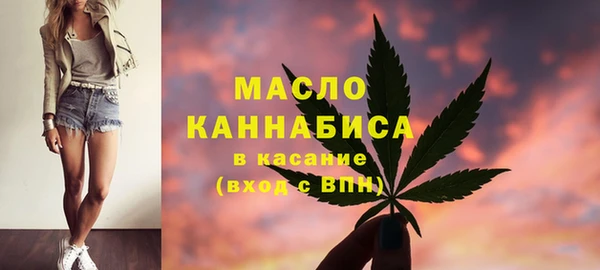 индика Абинск