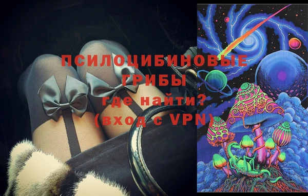 индика Абинск