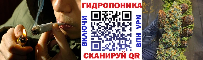 MEGA ССЫЛКА  Александров  МАРИХУАНА сатива 